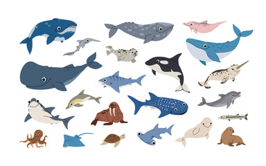 Aquatic animals set. Ocean mammals orca, whale, dolphin, shark and beluga, seal,sea lion, walrus in different poses. Big flat vector set in cartoon cute style.