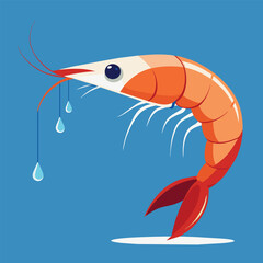 Vector illustration EPS 10 Antarctic Krill shrimp cries vector white background