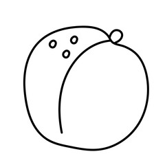 Apricot in doodle style. Vector isolated on white background