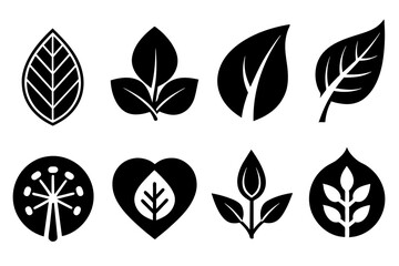 Leaves Icon Vector illustration Nature Leaf decorative symbol