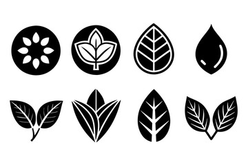 Vector icons of leaves in variety of shape designs