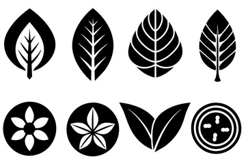 Vector icons of leaves in variety of shape designs