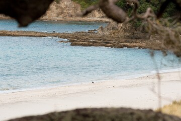 A Sunny day at the Smugglers Bay Beach
