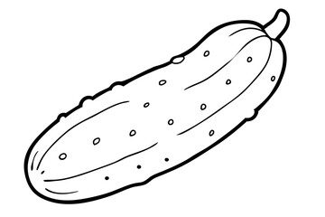 illustration of a cucumber