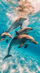 Obraz premium A pod of dolphins swimming in the ocean. AI.