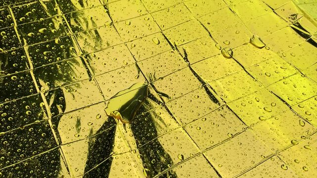 Raindrops fall on reflective golden color foil blanket with square texture