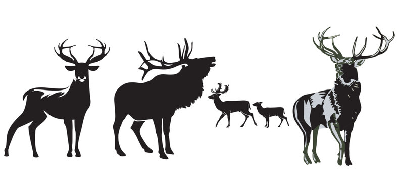 Hirsche auf der Wiese  illustration