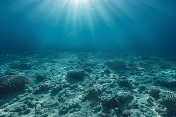 The bottom of tropical lagoons is exotic, made of dead corals, bleached and white, allowed by the rise in water temperature and carbon dioxide