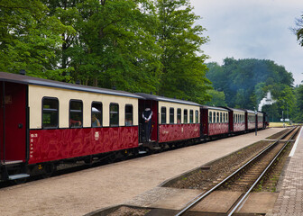 Obraz premium Historischer Zug der Molli-Bahn am Bahnsteig des Bahnhofs Heiligendamm im Wald, Ostseebad Heiligendamm, Mecklenburg-Vorpommern, Deutschland