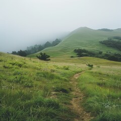 Fototapeta premium a foggy misty trail in a grassy field with hill landscape 