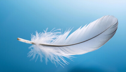 Obraz premium Single white feather floating diagonally on a clear blue background, delicate barbs and soft lighting highlighting its texture, nature, minimalism