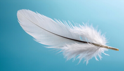 Fototapeta premium Single white feather floating diagonally on a clear blue background, delicate barbs and soft lighting highlighting its texture, nature, minimalism