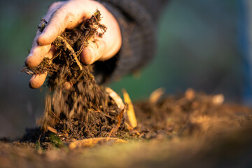 farmer collecting soil samples in a test tube in a field. Agronomist checking soil carbon and plant health on a farm in  a field