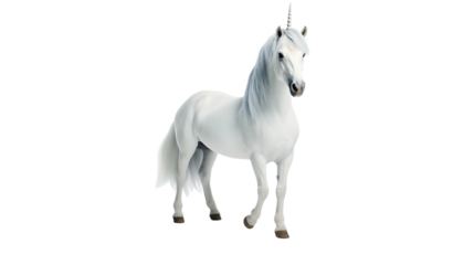 Unicorn horse on white background