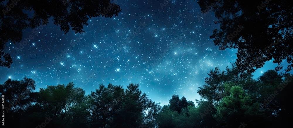 Canvas Prints silhouetted trees against a starry sky create a picturesque scene with copy space image.
