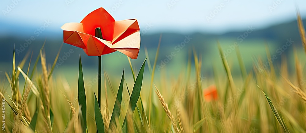 Sticker Green grass field with an origami poppy placed on a white background, ideal for including text or graphics next to the copy space image.