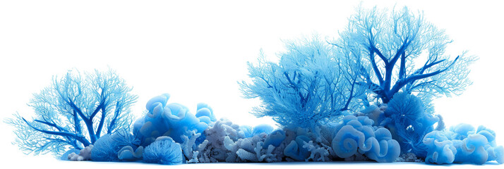 Blue coral reef marine ecosystem illustration transparent background © Loony Dream Designs