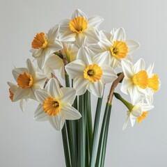 Obraz premium Blooming Beauty - Garden Daffodil Bouquet in Soft Light on White Background, Realistic 8K HD Photography with Delicate Shadows