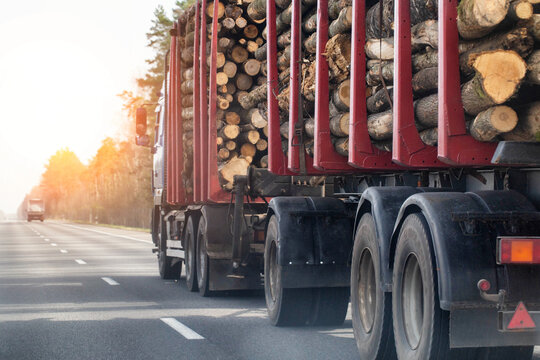 A timber semi-trailer truck transports timber logs along an asphalt road against a spring sunset background. Logging, copy space for text, industry