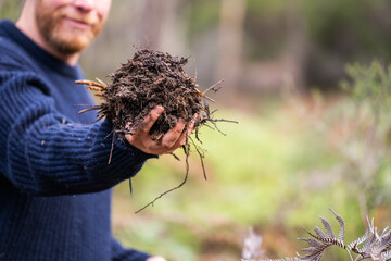 scientist researcher studying soil and forest health effects from climate change. university student research on bush soil structure and biology diversity. holding a soil sample in hand taking photos