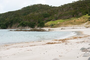 A Sunny day at the Smugglers Bay Beach