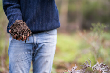 scientist researcher studying soil and forest health effects from climate change. university student research on bush soil structure and biology diversity. holding a soil sample in hand taking photos