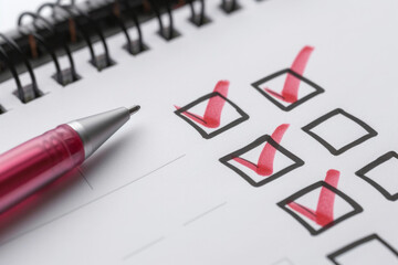 Concept of a project management tool with a list of checkboxes. Some milestones are checked off, indicating progress or completed