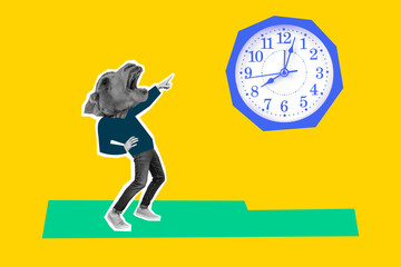 Composite photo collage of human instead head camel mask point alarm clock dial interval time management isolated on painted background