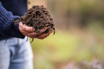 farmer collecting soil samples in a test tube in a field. Agronomist checking soil carbon and plant health on a farm in  a field