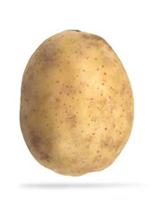Closeup view of a potato (solanum tuberosum), isolated on white background. 