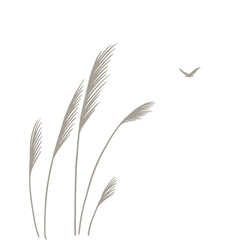 Reed traditional retro botanical illustration