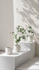 Vertical Image Of A White Podium With A Potted Plant In A Brightly Lit Room.