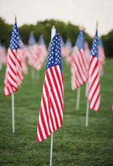 a field full of american flags on a cloudy day