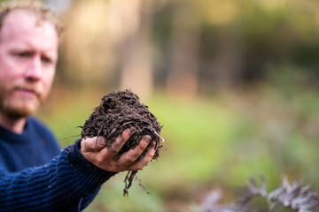 soil falling around a test tube collecting a soil collecting a soil sample in a paddock on a farm australian agronomist practicing agronomy innovation on a organic regenerative agriculture, for cows