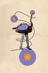 Vertical photo collage of female sexy legs instead body bird ostrich animal wild life avatar...