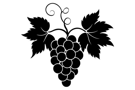 recommend clip art: grape fruit silhouette vector illustration