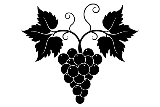 recommend clip art: grape fruit silhouette vector illustration