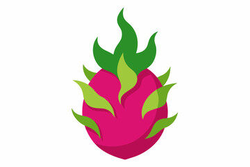 dragon fruit vector illustration