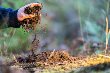 climate change effects soil, studying soil health and life, in national park forests and in agriculture in australia