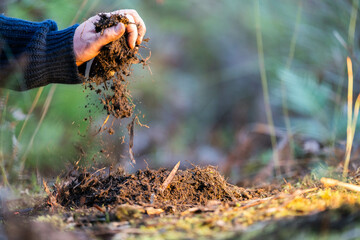 farmer collecting soil samples in a test tube in a field. Agronomist checking soil carbon and plant health on a farm in  a field