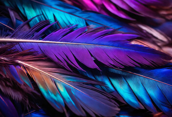Obraz premium Close up of vibrant blue and purple bird feathers
