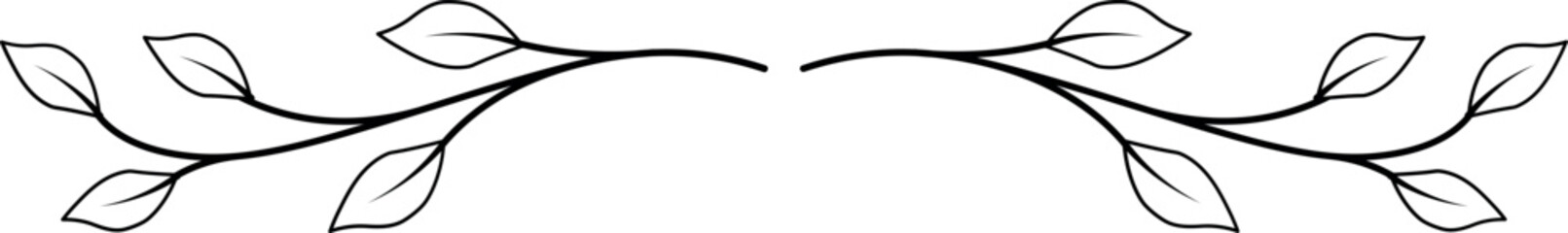 Hand drawn text divider isolated on white background. Floral text divider. Vintage.