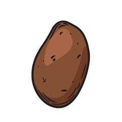 Potato line drawing vector illustration.