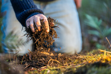 turning a compost pile in a community garden. compost full of microorganisms. sustainable regenerative agriculture