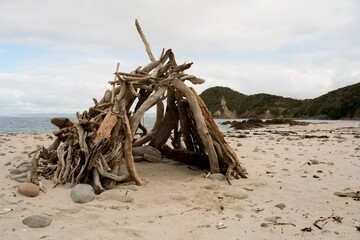 driftwood shelter on a sunny beach