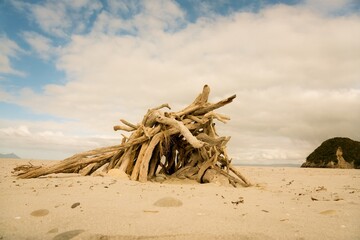 driftwood shelter on a sunny beach