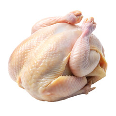 raw chicken transparent background