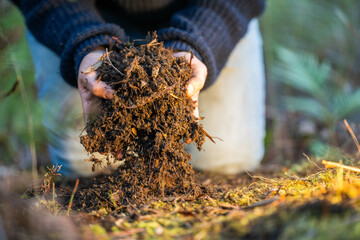 regenerative organic farmer, taking soil samples and looking at plant growth in a farm. practicing sustainable agriculture in spring