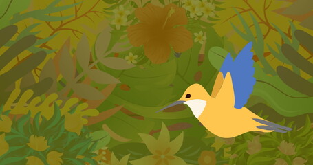 Image of colourful bird over plants