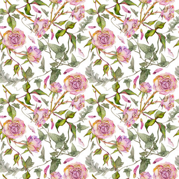 Hand drawn watercolor illustration shabby boho botanical flowers leaves. Dusty pink tea rose, ivy tendrils, silver cineraria. Seamless pattern isolated on white background. Design wedding, love cards